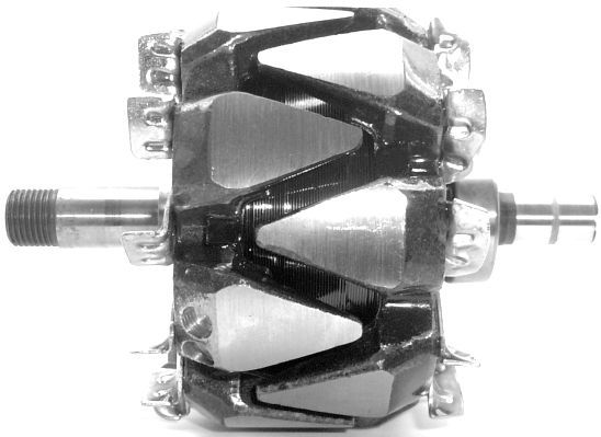 A-1181.JPG
