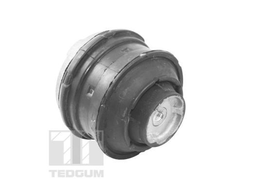 TED81021_#1.JPG