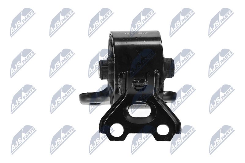 Paigutus, Mootor, NTY ZPS-CH-179