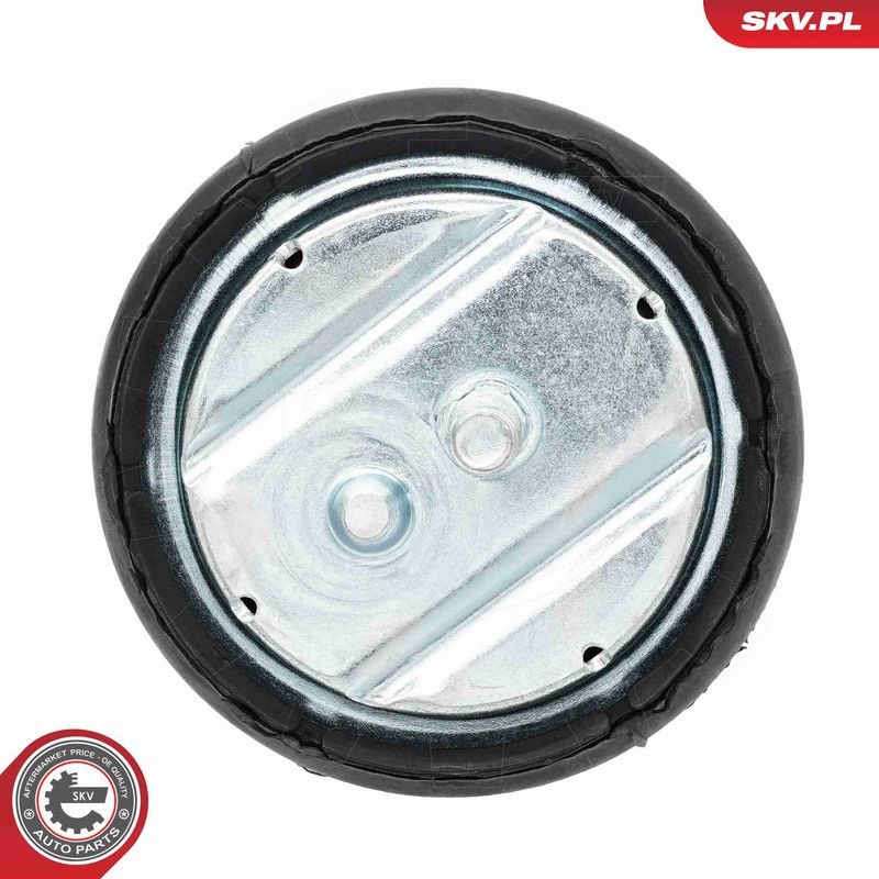 Paigutus, Mootor, ESEN SKV 75SKV180