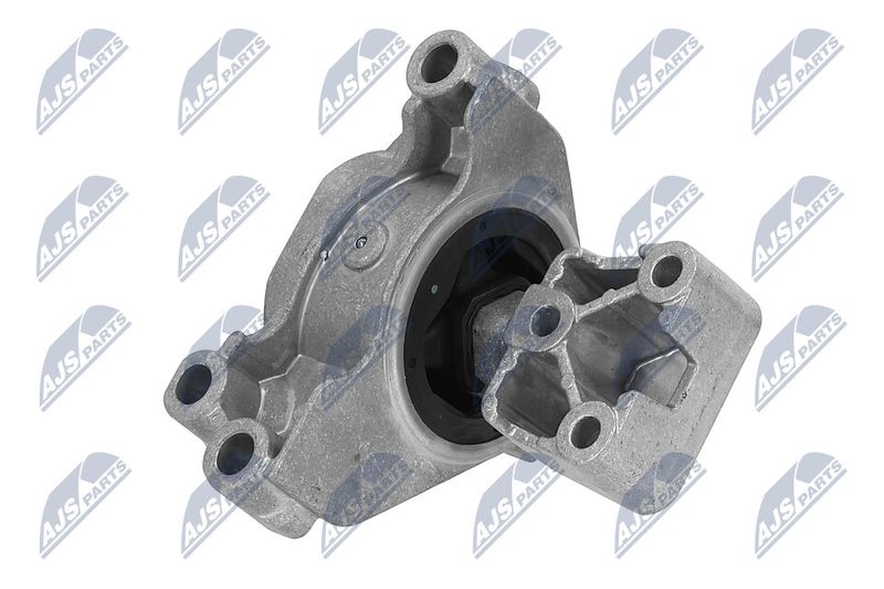 Paigutus, Mootor, NTY ZPS-PE-031