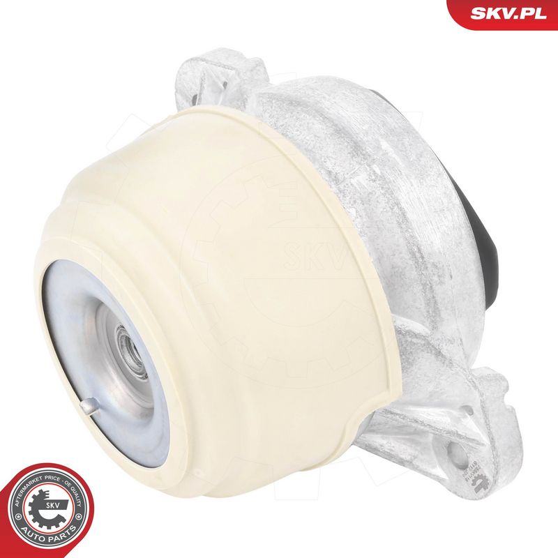 Paigutus, Mootor, ESEN SKV 75SKV118