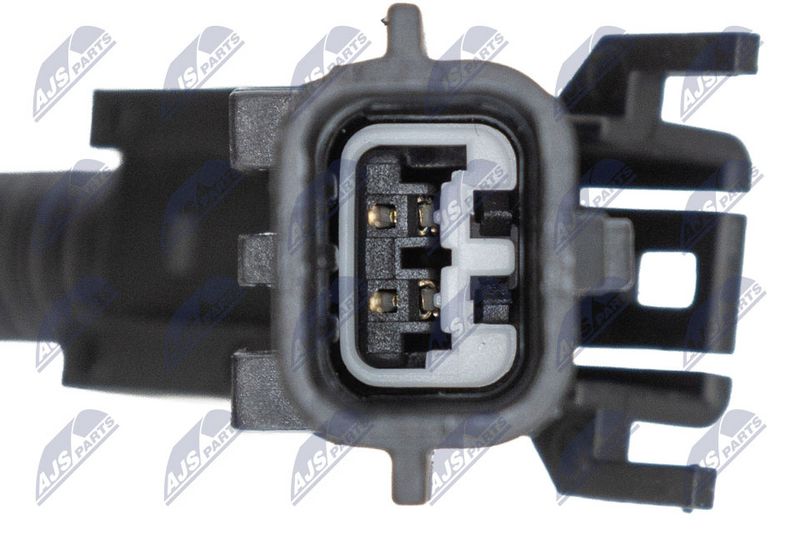 Amort, NTY A-LR-022