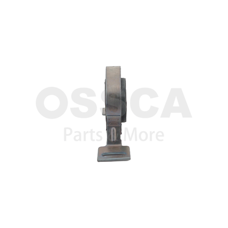 Paigutus, kardaan, OSSCA 22779