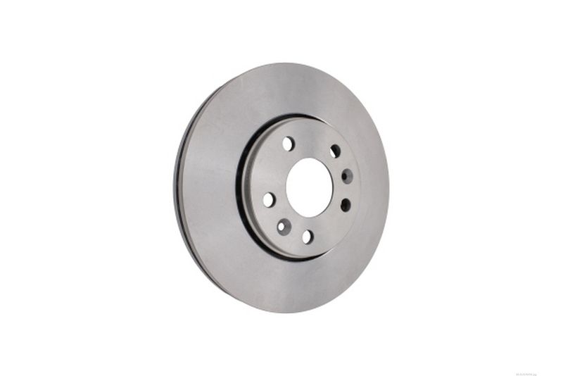 AUTOMEGA 213174310 Brake Disc