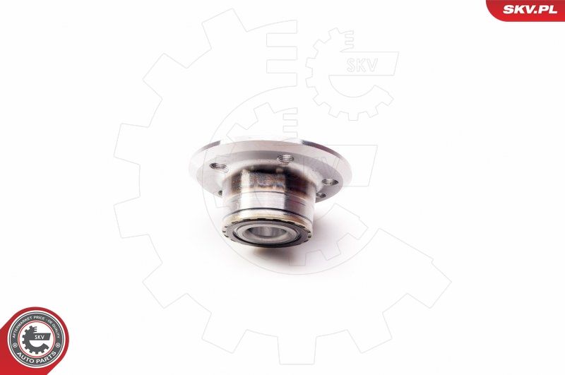 ESEN SKV 29SKV074 Wheel Bearing Kit