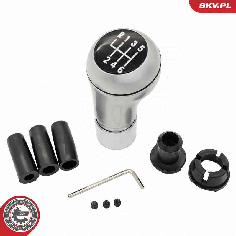 Käigukanginupp, ESEN SKV...