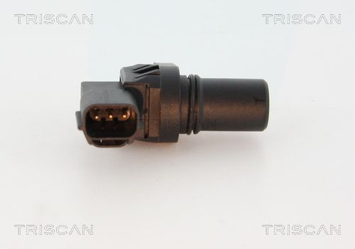TRIS886550105_2.JPG