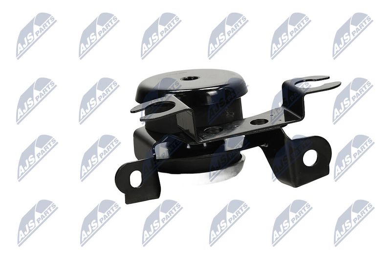 Paigutus, Mootor, NTY ZPS-MZ-040
