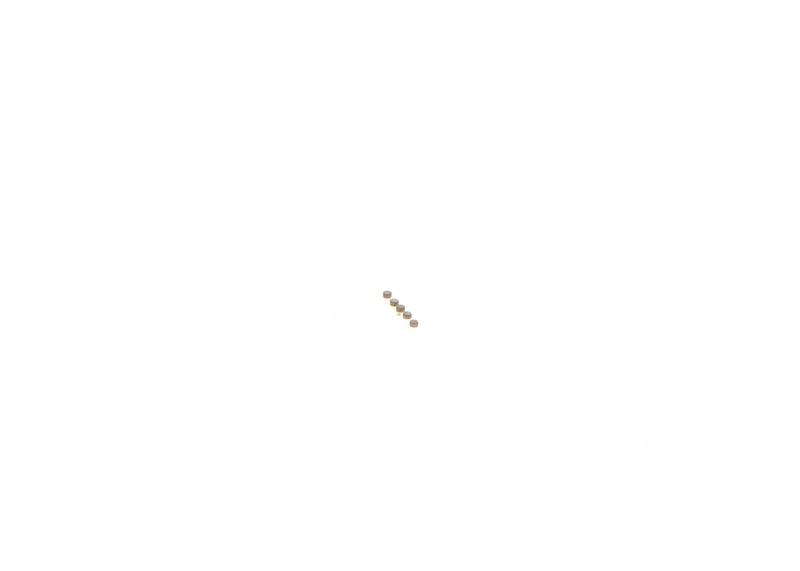 BOSCH F00ZC99744 Repair Kit, common rail system