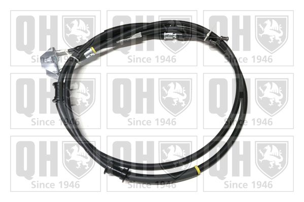 QH_BC3624.JPG