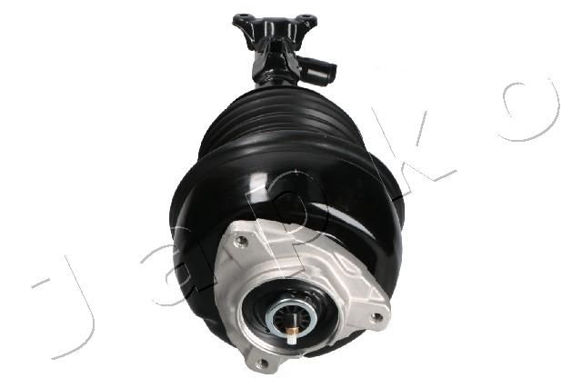 MJAS217_3.JPG