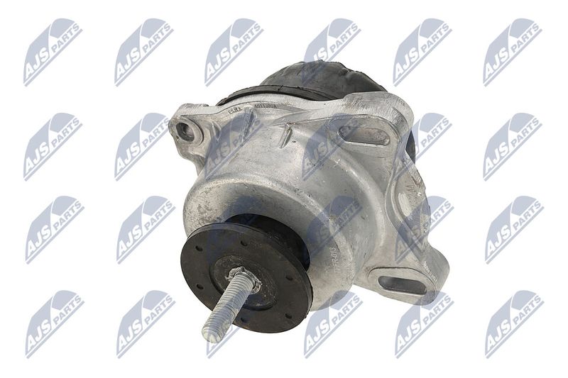 Paigutus, Mootor, NTY ZPS-FR-013