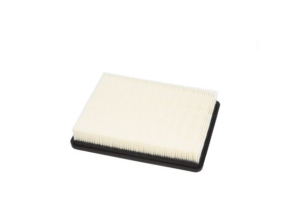 Kavo Parts HA-689 Air Filter