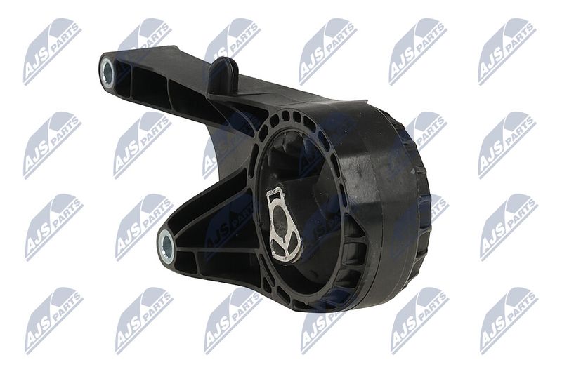 Paigutus, Mootor, NTY ZPS-PL-058
