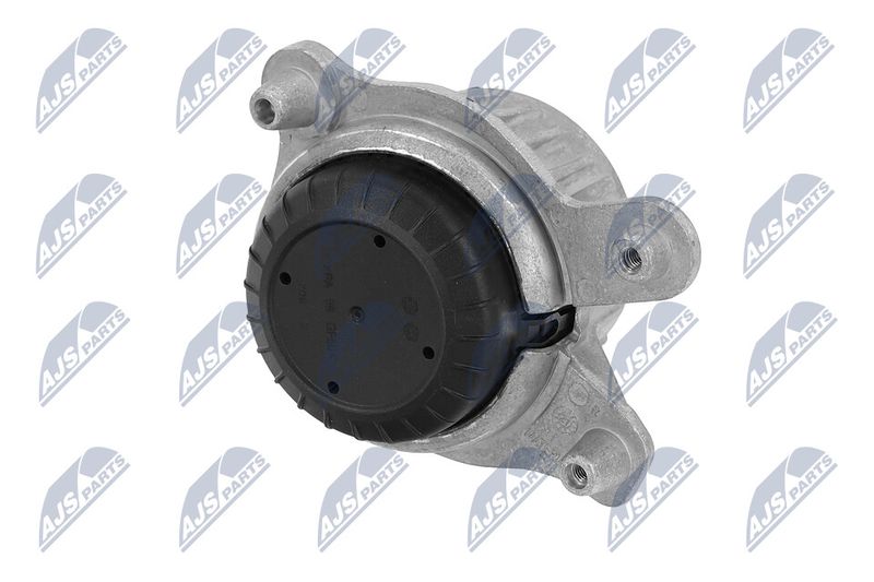 Paigutus, Mootor, NTY ZPS-ME-049