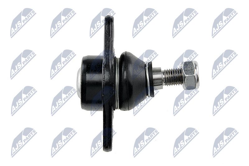 Kande-, juhtliigend, NTY ZSD-BM-003