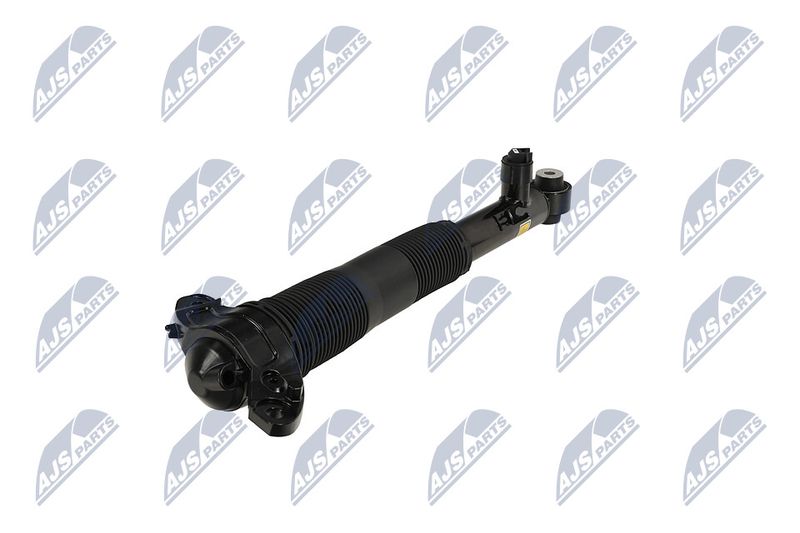 Amort, NTY A-LR-037