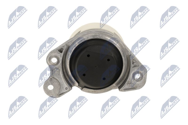 Paigutus, Mootor, NTY ZPS-ME-052