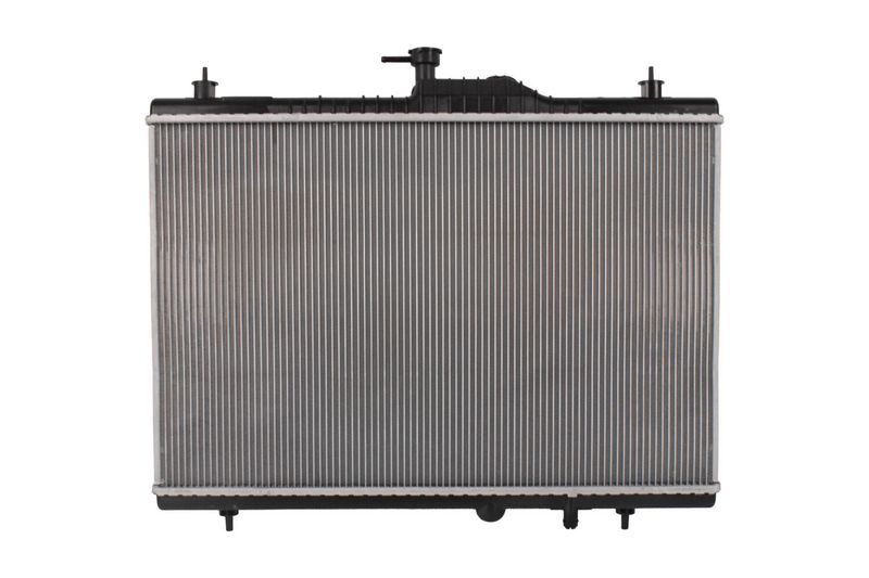 Prekė atitinka OEM kodą: 214007173R