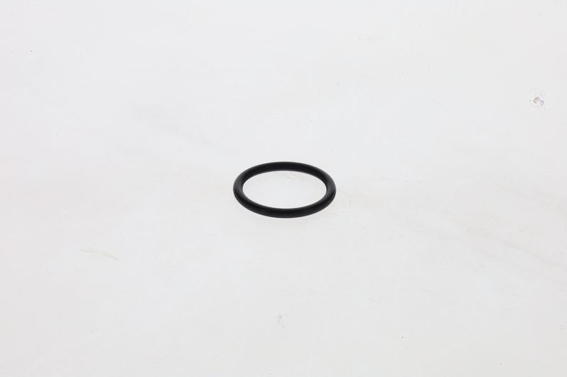 Inel cauciuc 1 460 210 306 BOSCH
