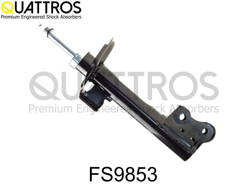 fs9853.JPG