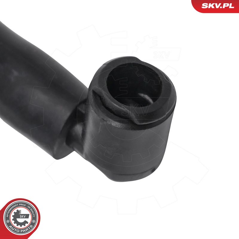 ESEN SKV 15SKV242 Washer Fluid Jet, window cleaning