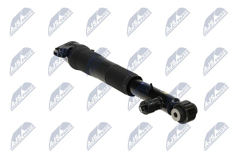 Amort, NTY A-LR-036