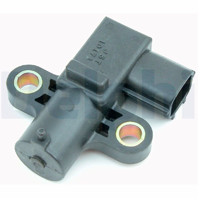 SS10198.JPG