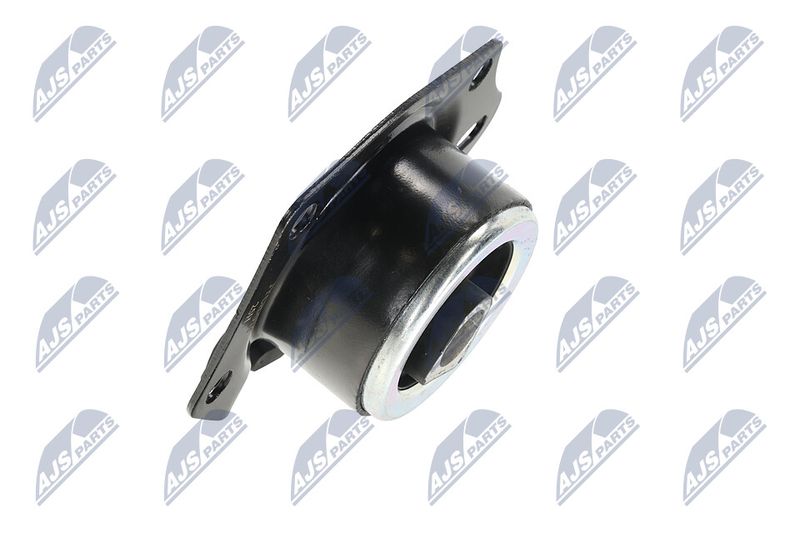 Paigutus, Mootor, NTY ZPS-CH-014