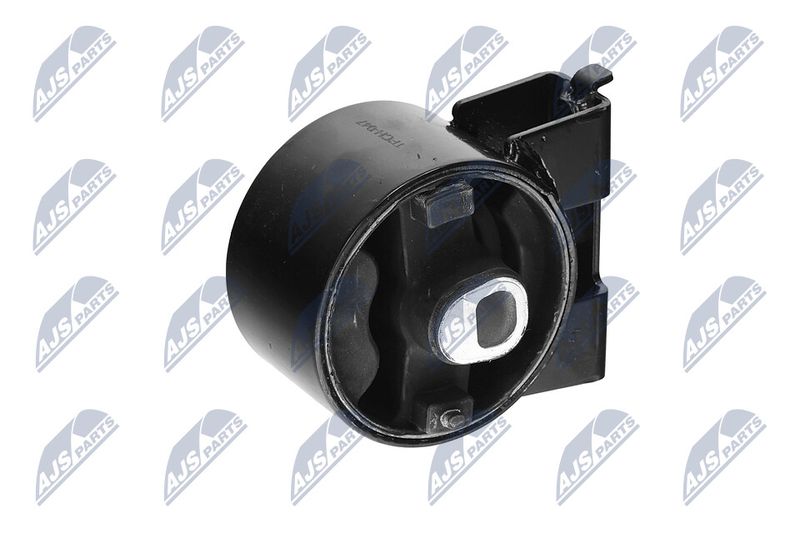 Paigutus, Mootor, NTY ZPS-CH-047