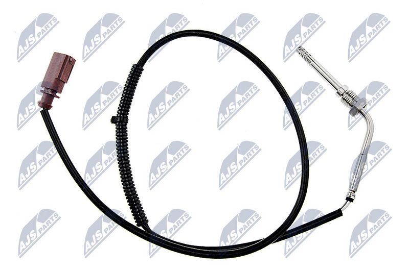 egt-vw-048_1-wm.JPG