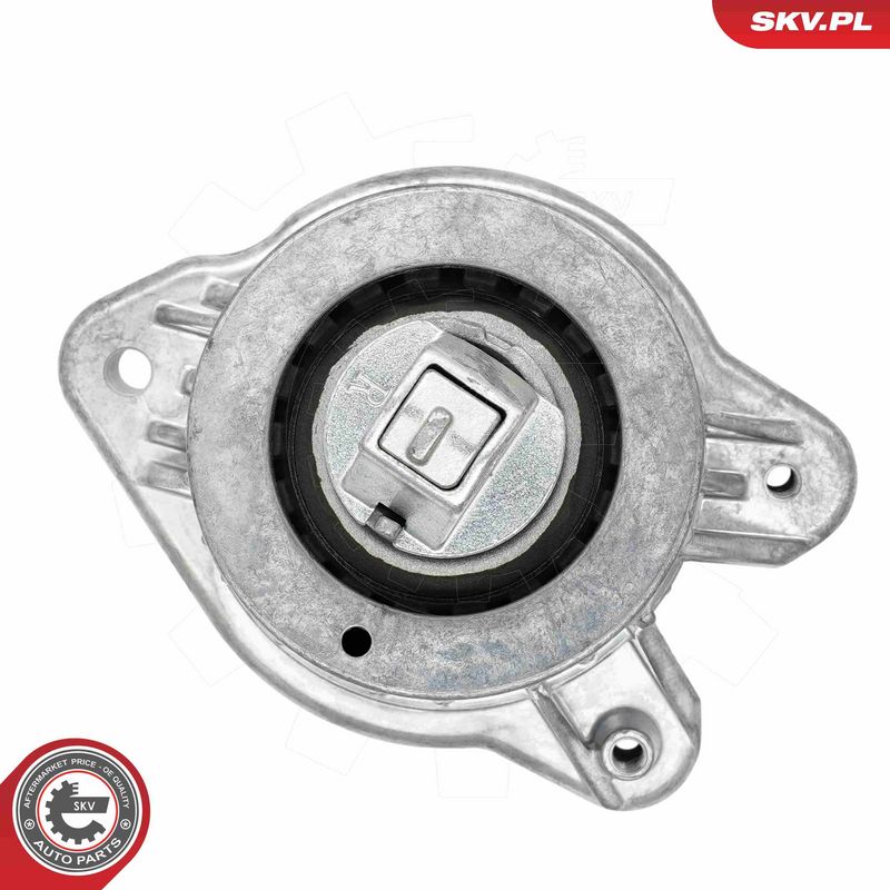 Paigutus, Mootor, ESEN SKV...