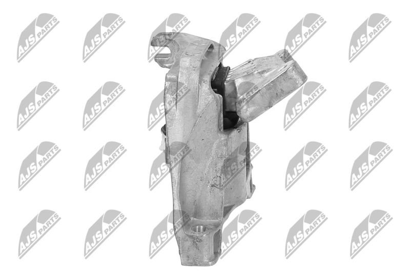 Paigutus, Mootor, NTY ZPS-PE-020