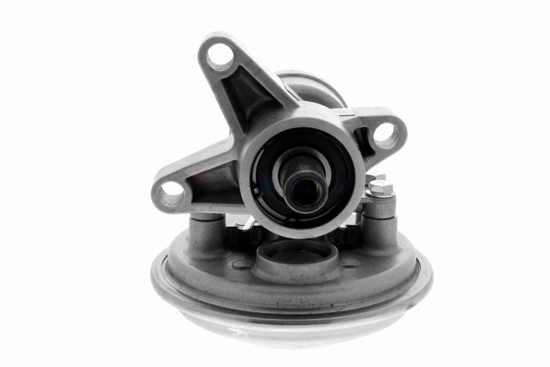 VAICO V25-1907 Mounting, engine