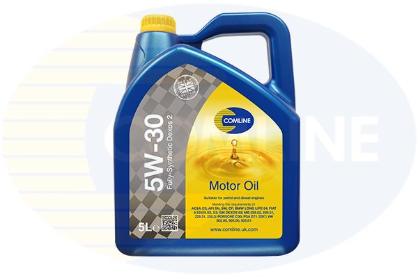 CO5W30D2-5_5845462.JPG