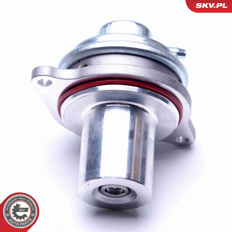 ESEN SKV 14SKV182 EGR Valve