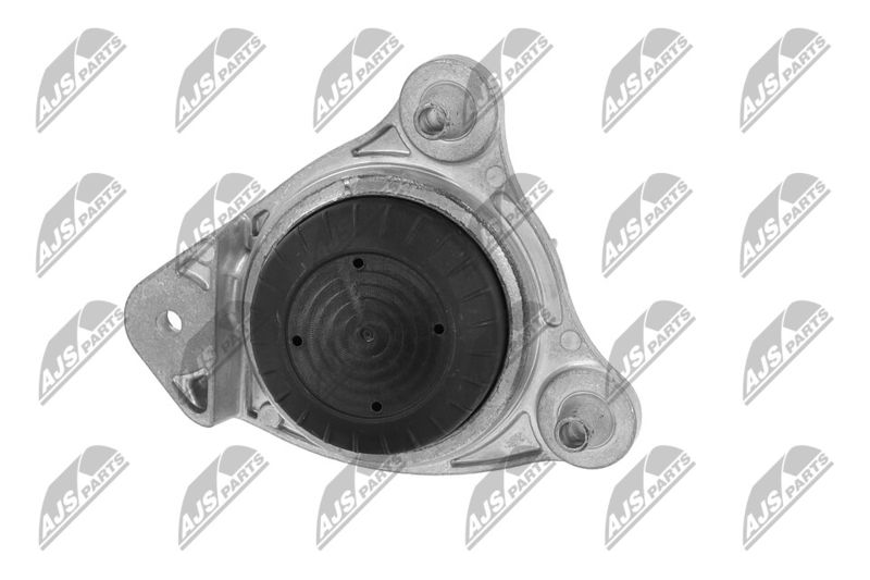 Paigutus, Mootor, NTY ZPS-ME-066