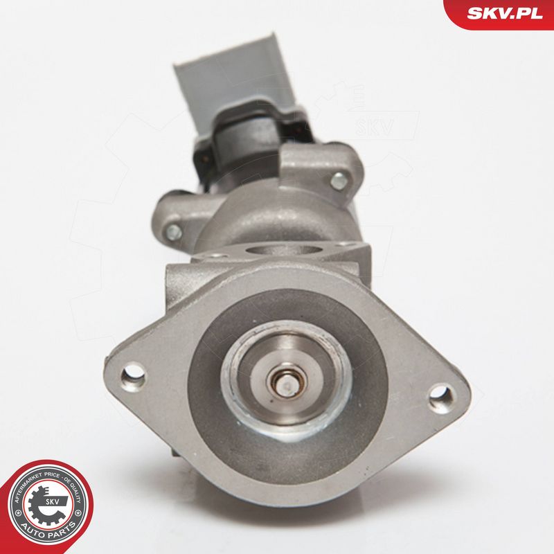 ESEN SKV 14SKV073 EGR Valve
