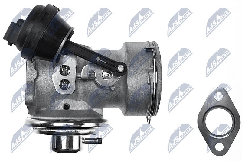 EGR-klapp, NTY EGR-AU-001