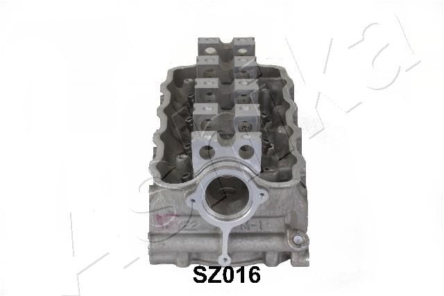 SZ016_2.JPG