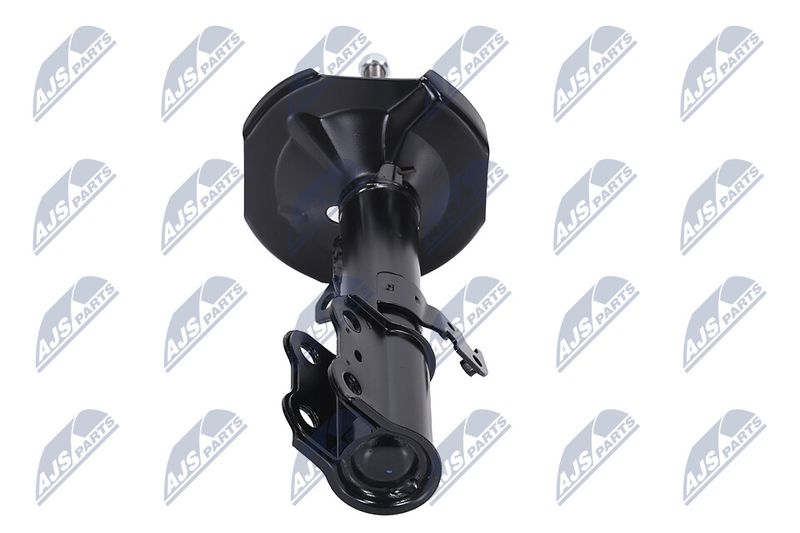 Amort, NTY A-TY-096