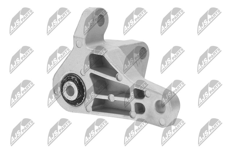 Paigutus, Mootor, NTY ZPS-FR-066