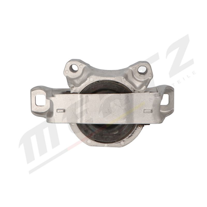 MERTZ M-S4859 Mounting, engine