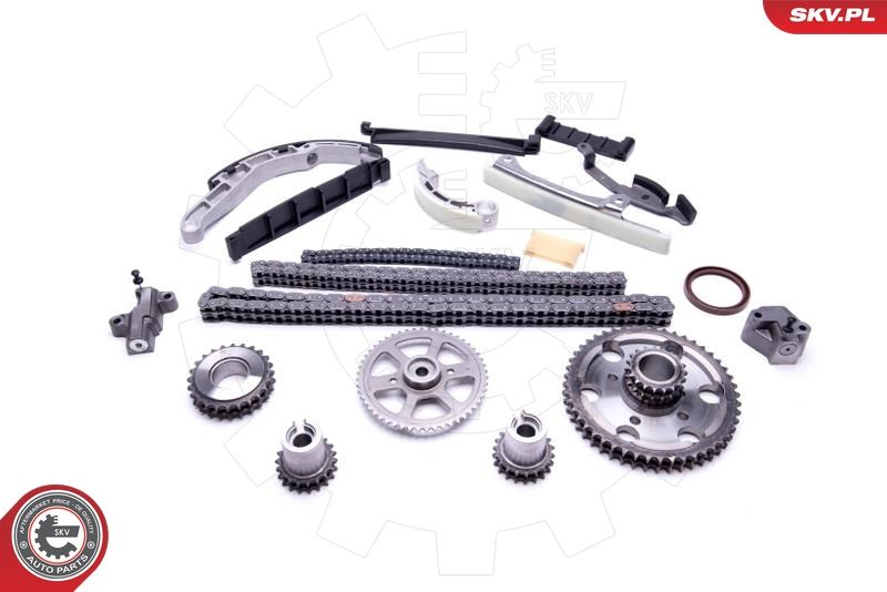 ESEN SKV 21SKV202 Timing Chain Kit