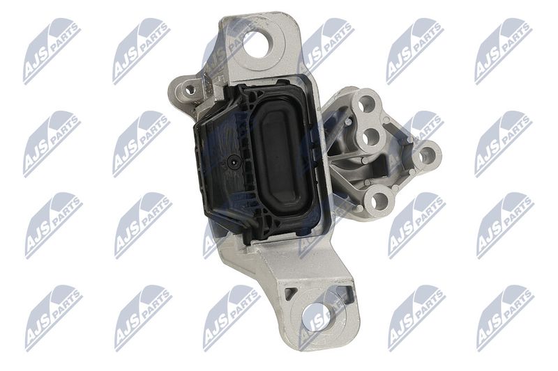 Paigutus, Mootor, NTY ZPS-FR-069