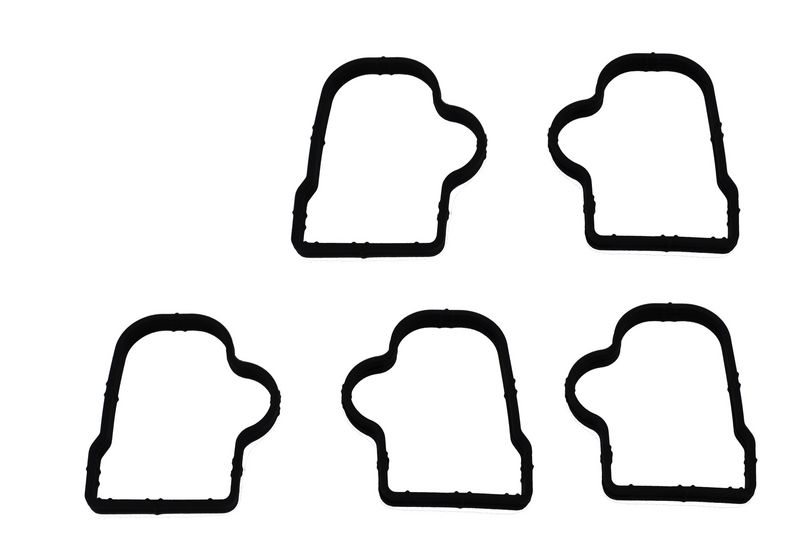 AUTOMEGA 190060810 Gasket, intake manifold
