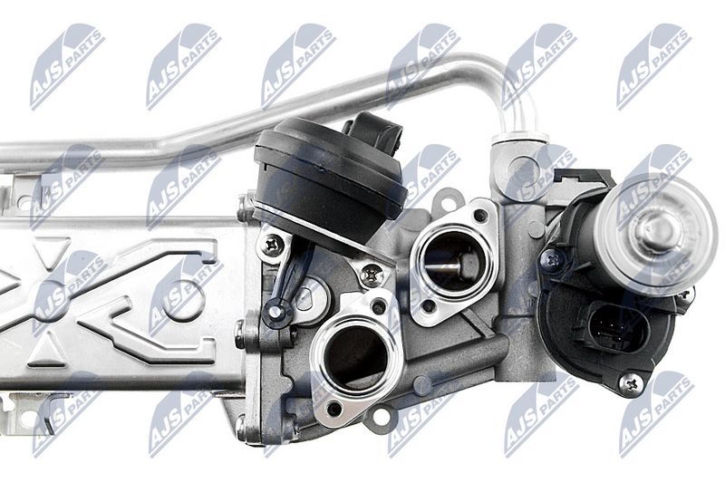 egr-vw-009_6-wm.JPG