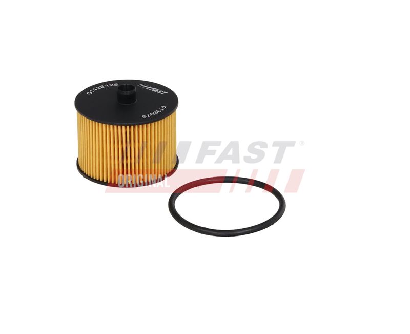 Kütusefilter, FAST FT39076