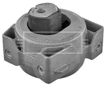BEM4199_210927.JPG